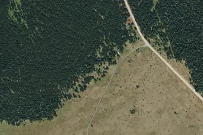 Moose Park-003