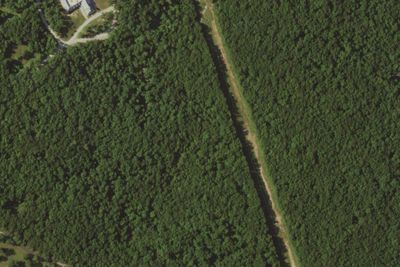 S bar F Scout Ranch