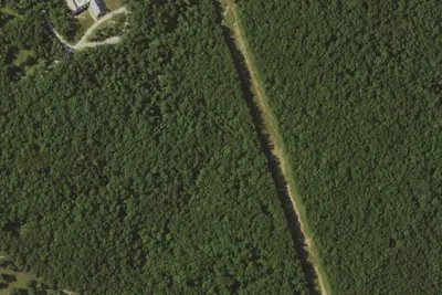 S bar F Scout Ranch