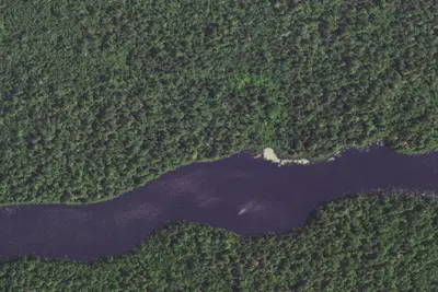 Crocodile Lake #3