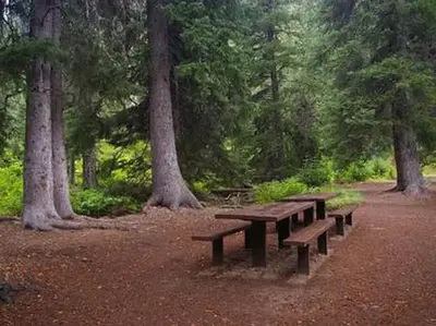 Cottonwood Group Campsite