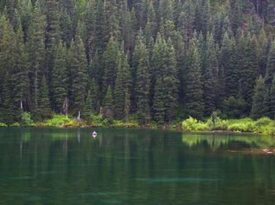 Cottonwood Group Campsite