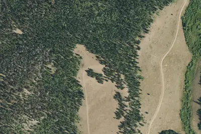 Camp site