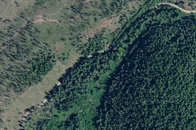 Flat Creek a