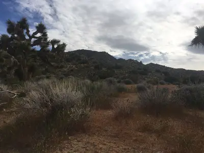 California Desert District South Zone (34729212952)