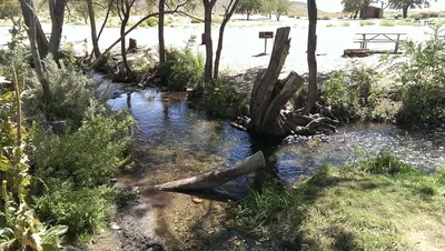 Tinnemaha creek (1)