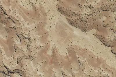Camp site