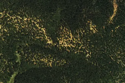 Camp site