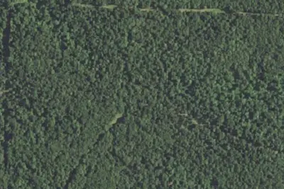 Camp site