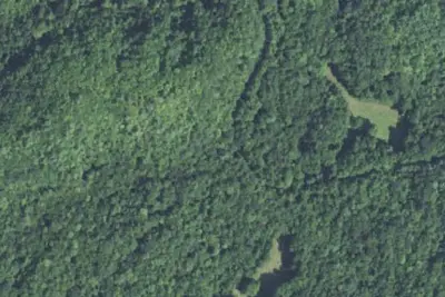 Camp site