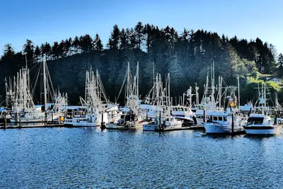Many Fishing Vessels Docked in Salmon Harbor Marina in Winchester Bay, Oregon