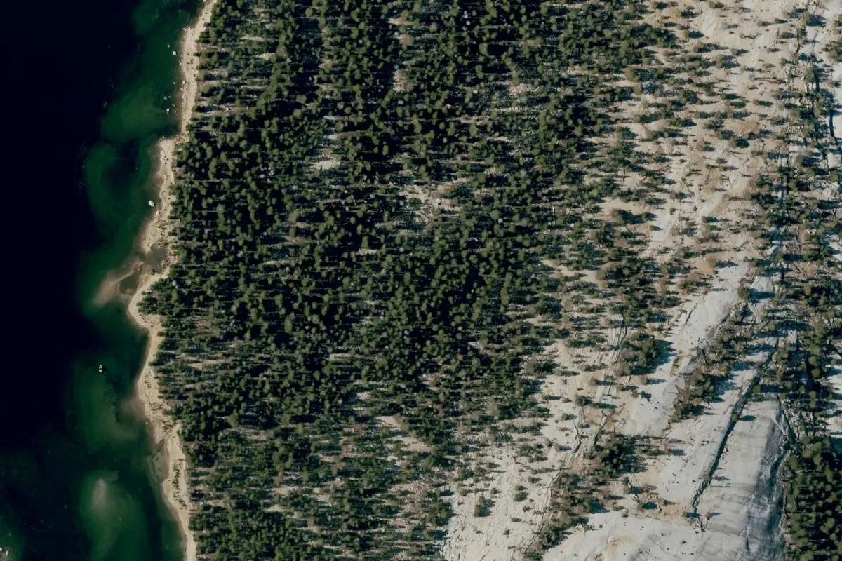 Aerial view