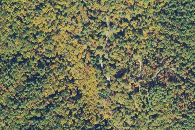 Helen, GA Site 1