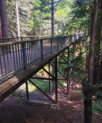 Kresge Bridge
