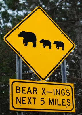 Better hide the picnic baskets! (5797288198) (cropped)