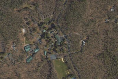 Pine Forest Camp