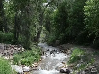 Oak creek