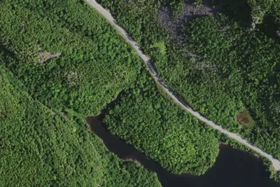 Camp site (NYSDEC)