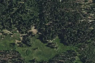 Frog Meadow