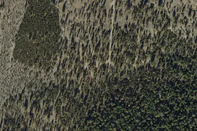 Boundary Springs Campground