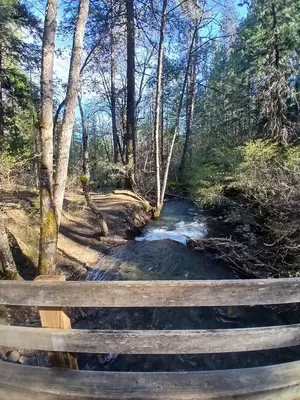 East Weaver Creek
