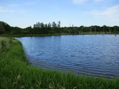 Blue Bill Fishing Pond