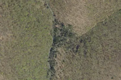 Camp site