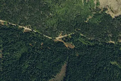 Designated Campsite
