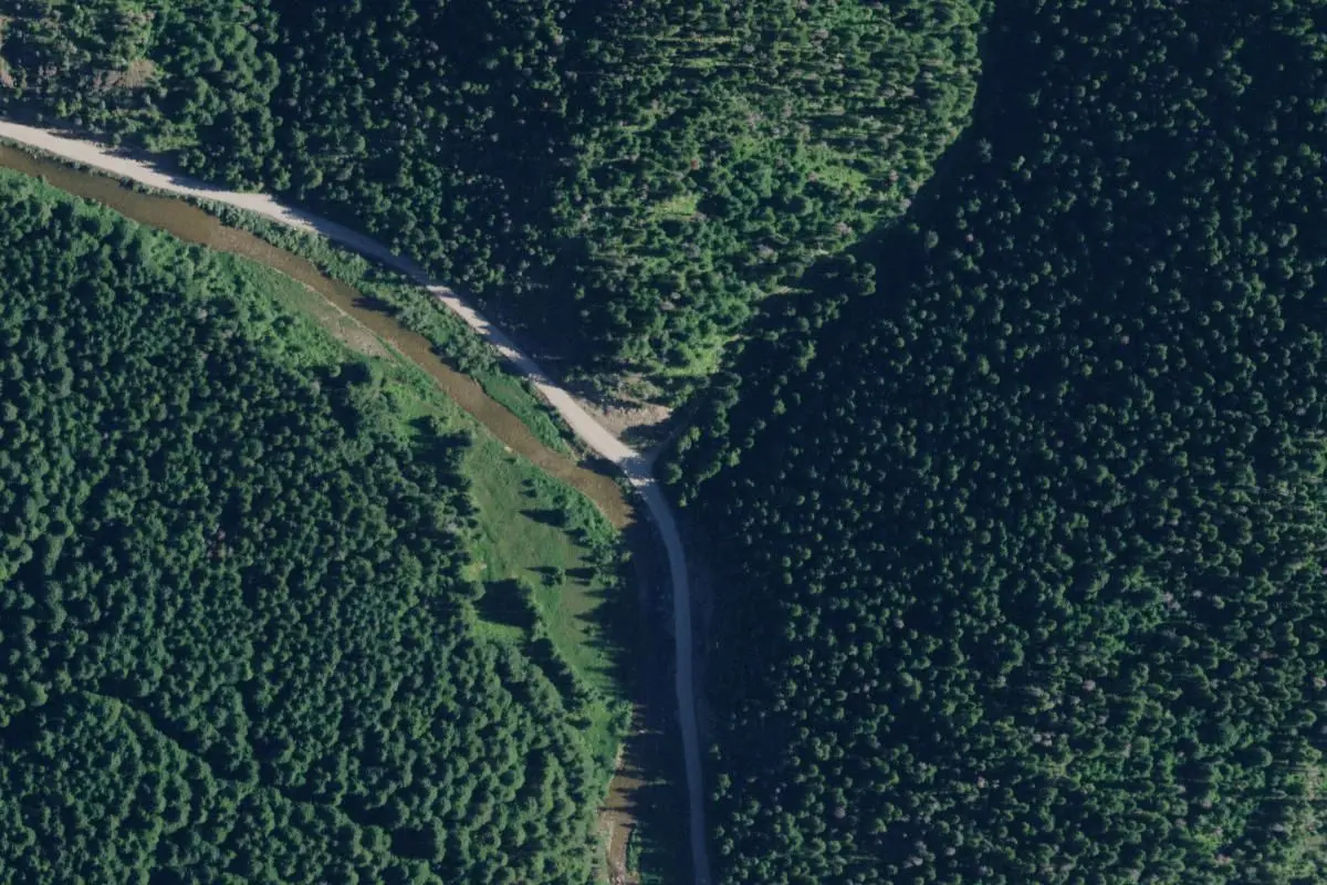 Aerial view