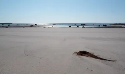 Baie de la Trinité