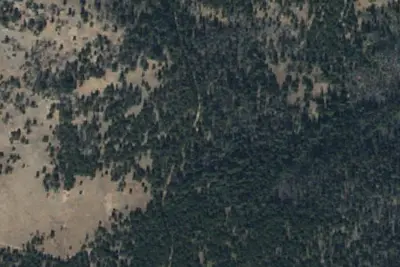 Burn Pile