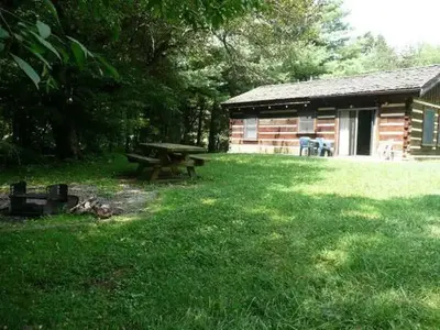 Stony Fork Cabin Back Yard