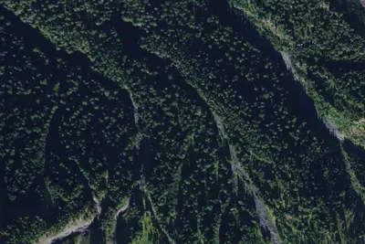 Camp site