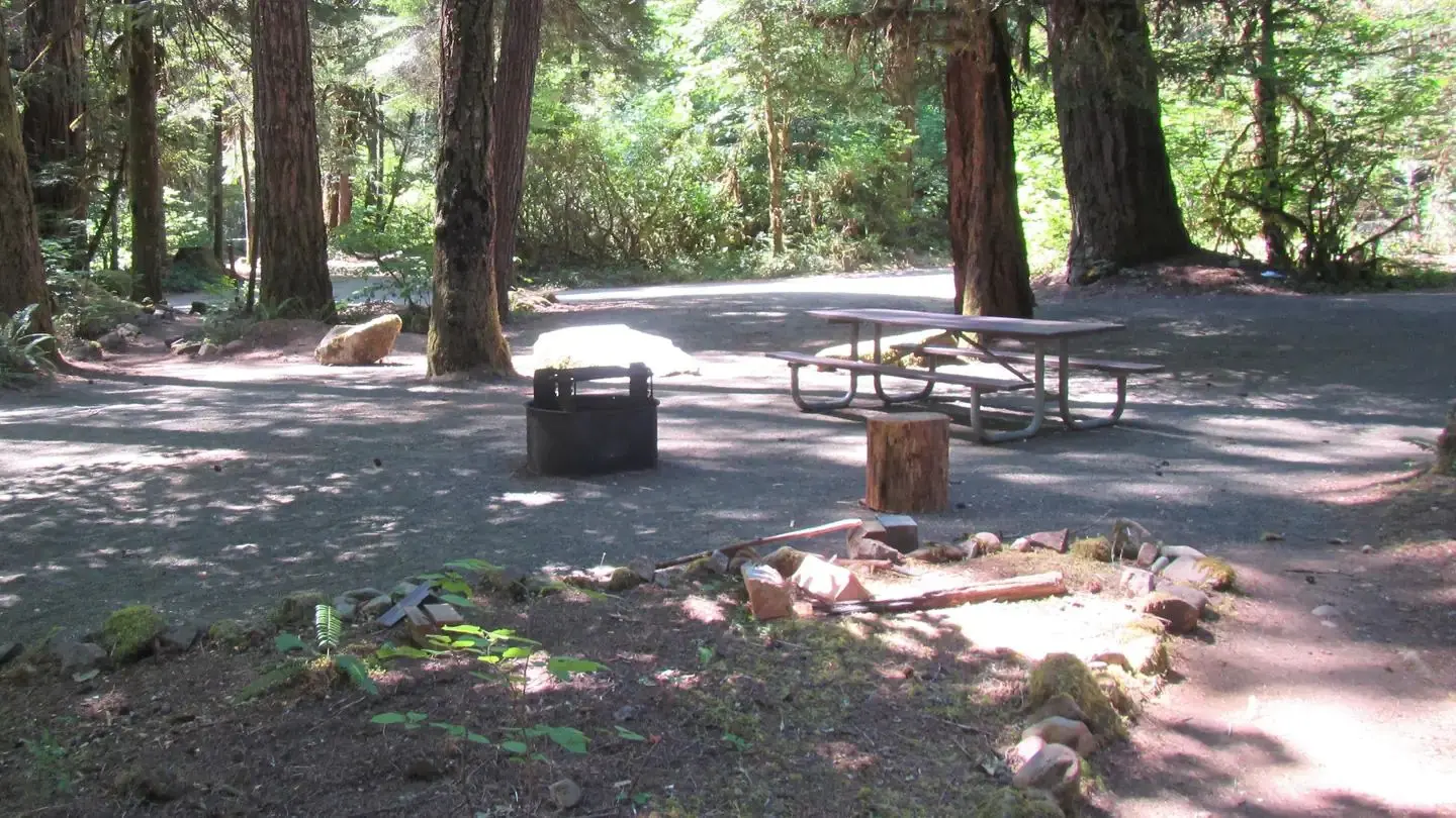 Typical Campsite at Scaredman