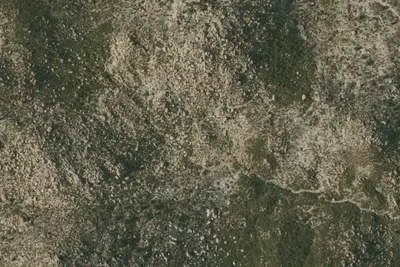 Camp site