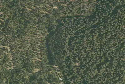 Camp site