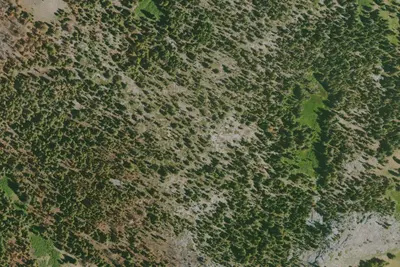Camp site