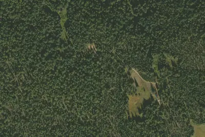 Camp site