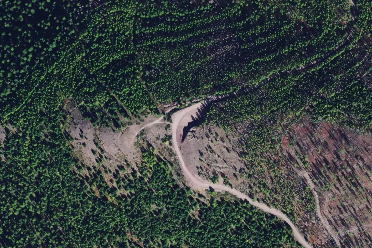Aerial view