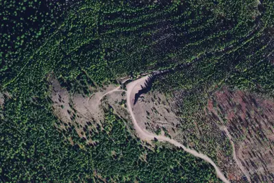 Rice Ridge 06