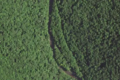 Poplar Branch Shelter