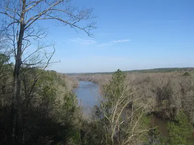 Cape Fear River - panoramio (1)