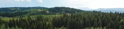 Monte Cristo
