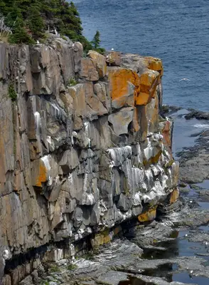 East Coast Trail (30166450648)