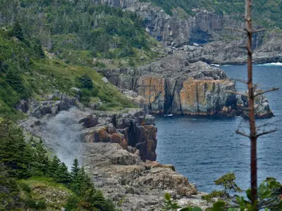 East Coast Trail (43316002014)
