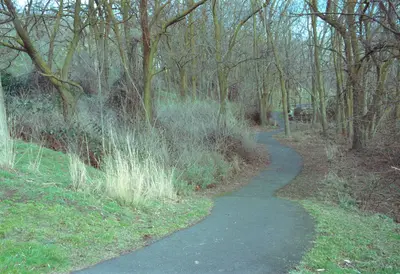 02-02-16, wawawai park trail - panoramio