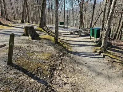 A small brown post with number 5 stands near trail to campsite.
