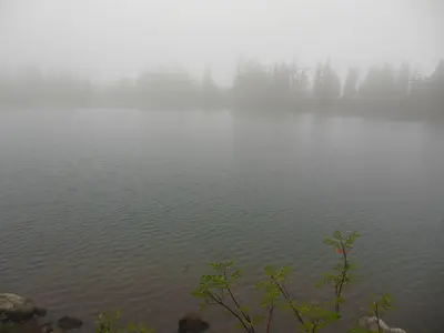 Scout Lake in fog, Jefferson Park