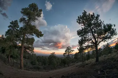 McMillan Springs Campground - Flickr - snowpeak