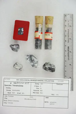 Tetrahedrite with Sphalerite and Galena (40803030383)